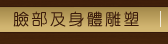 臉部及身體雕塑